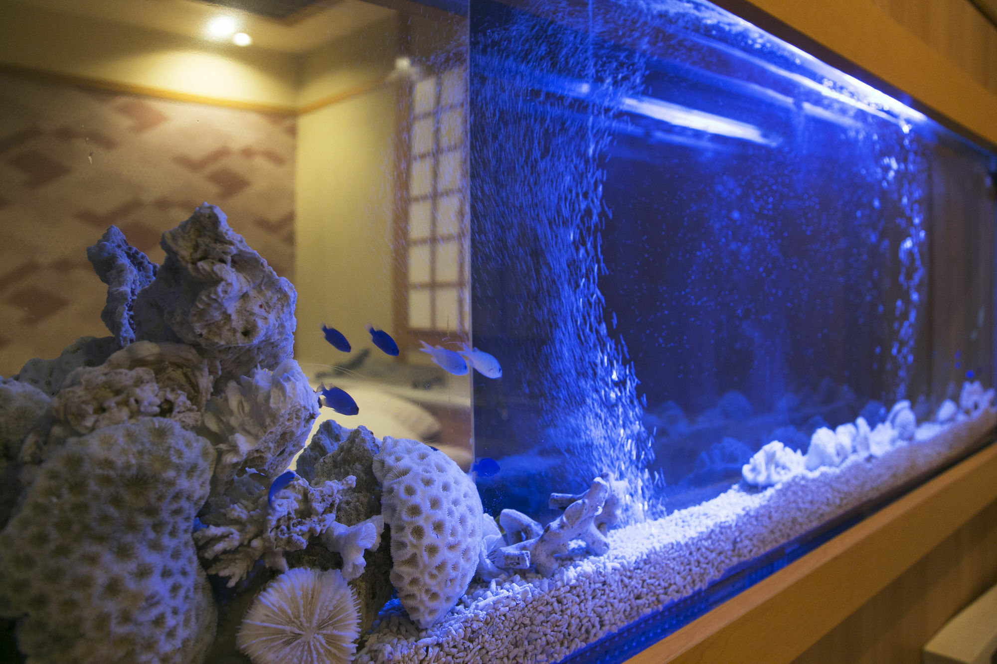 Hotel Atlantis Higashi Osaka (Adults Only) Экстерьер фото